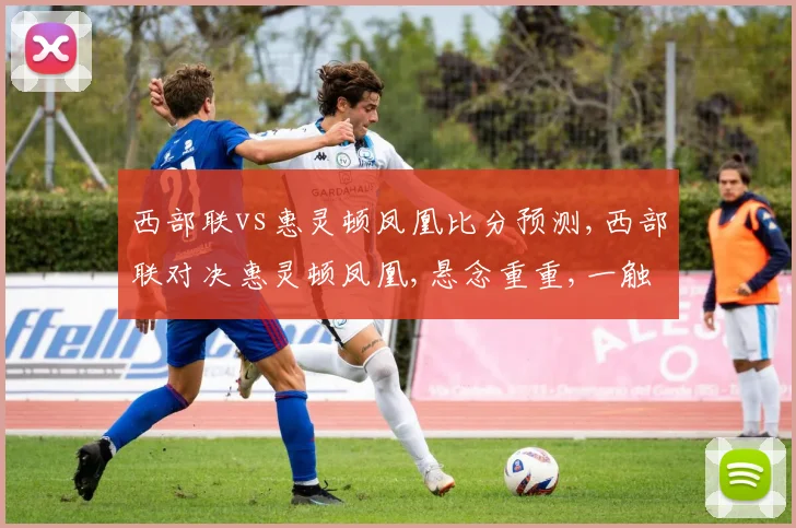 西部联vs惠灵顿凤凰比分预测,西部联对决惠灵顿凤凰,悬念重重,一触即发