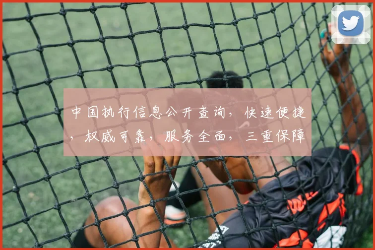 中国执行信息公开查询，快速便捷，权威可靠，服务全面，三重保障，值得信赖，。