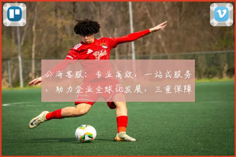 公海客服：专业高效，一站式服务，助力企业全球化发展，三重保障，值得信赖，